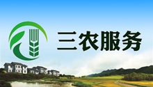 3-_副(fu)本.jpg
